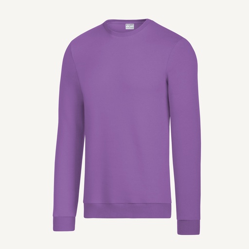 Vêtements standard / Sweats / Sweats col rond