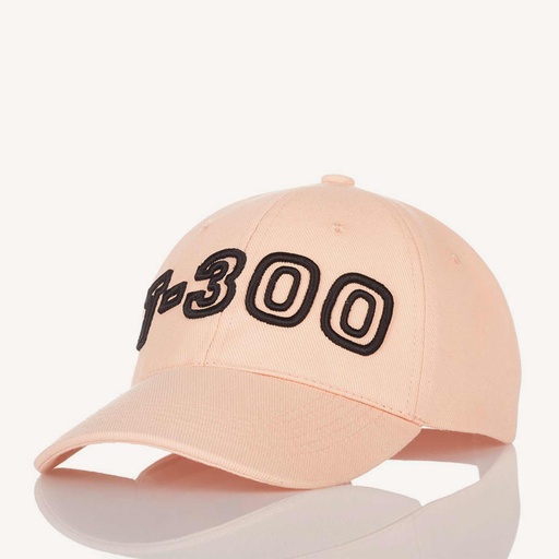 Casquette basique # T-300 